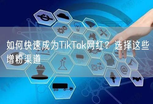 如何快速成为TikTok网红？选择这些增粉渠道