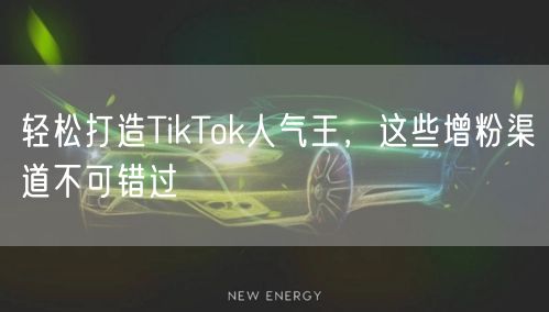 轻松打造TikTok人气王，这些增粉渠道不可错过