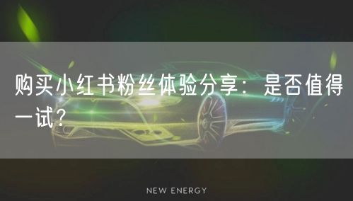 购买小红书粉丝体验分享：是否值得一试？