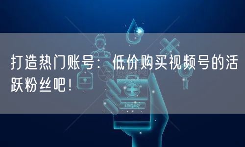 打造热门账号：低价购买视频号的活跃粉丝吧！
