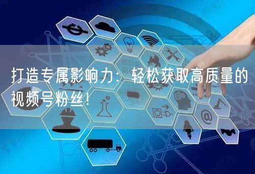 打造专属影响力：轻松获取高质量的视频号粉丝！