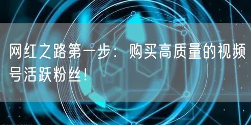 网红之路第一步：购买高质量的视频号活跃粉丝！
