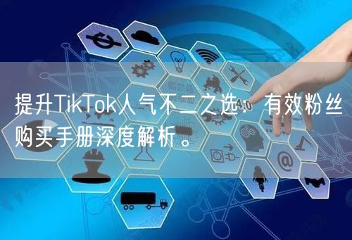 提升TikTok人气不二之选：有效粉丝购买手册深度解析。