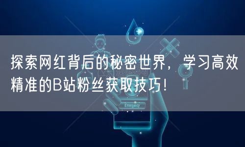 探索网红背后的秘密世界，学习高效精准的B站粉丝获取技巧！