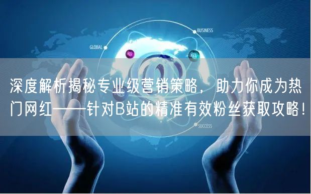 深度解析揭秘专业级营销策略，助力你成为热门网红——针对B站的精准有效粉丝获取攻略