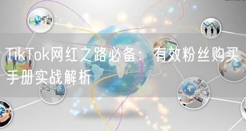 TikTok网红之路必备：有效粉丝购买手册实战解析