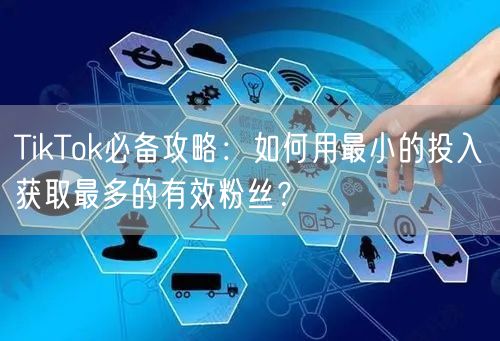 TikTok必备攻略：如何用最小的投入获取最多的有效粉丝？