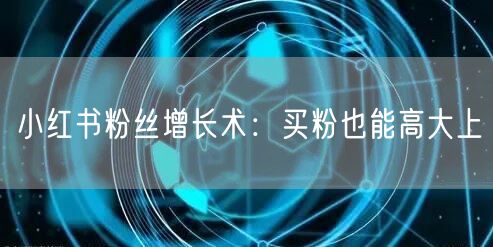 小红书粉丝增长术：买粉也能高大上