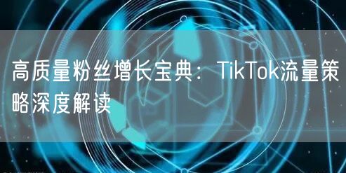 高质量粉丝增长宝典：TikTok流量策略深度解读