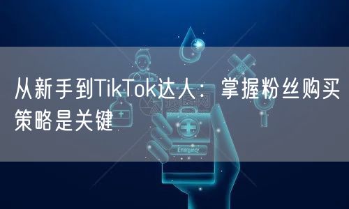 从新手到TikTok达人：掌握粉丝购买策略是关键