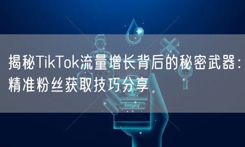 揭秘TikTok流量增长背后的秘密武器：精准粉丝获取技巧分享