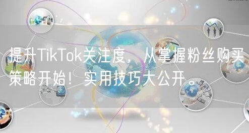 提升TikTok关注度，从掌握粉丝购买策略开始！实用技巧大公开。
