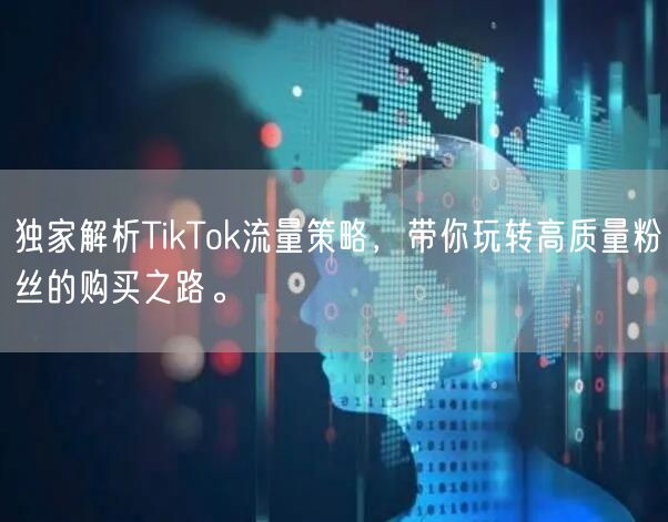 独家解析TikTok流量策略，带你玩转高质量粉丝的购买之路。