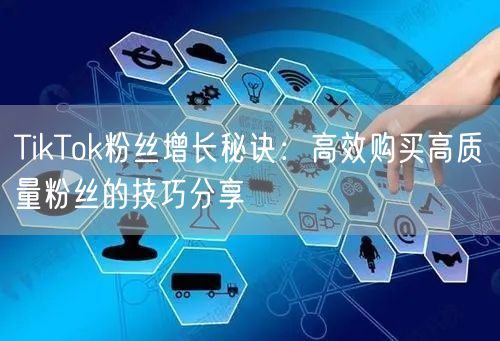 TikTok粉丝增长秘诀：高效购买高质量粉丝的技巧分享