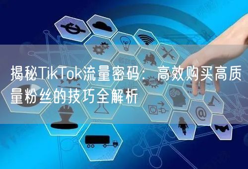 揭秘TikTok流量密码：高效购买高质量粉丝的技巧全解析