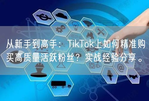 从新手到高手：TikTok上如何精准购买高质量活跃粉丝？实战经验分享。