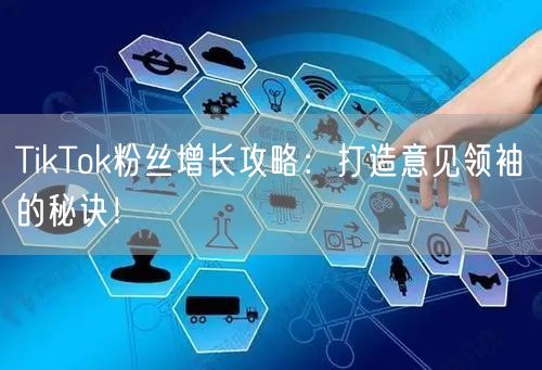 TikTok粉丝增长攻略：打造意见领袖的秘诀！