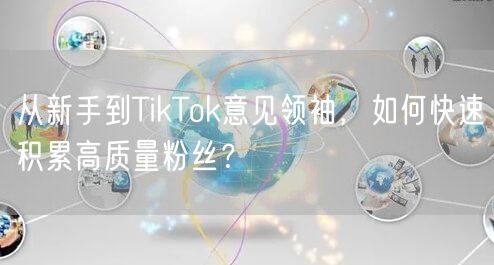 从新手到TikTok意见领袖，如何快速积累高质量粉丝？