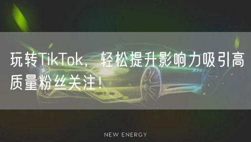 玩转TikTok，轻松提升影响力吸引高质量粉丝关注！