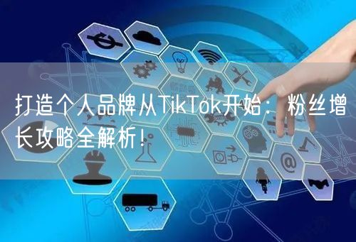 打造个人品牌从TikTok开始：粉丝增长攻略全解析！