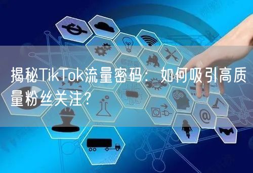 揭秘TikTok流量密码：如何吸引高质量粉丝关注？