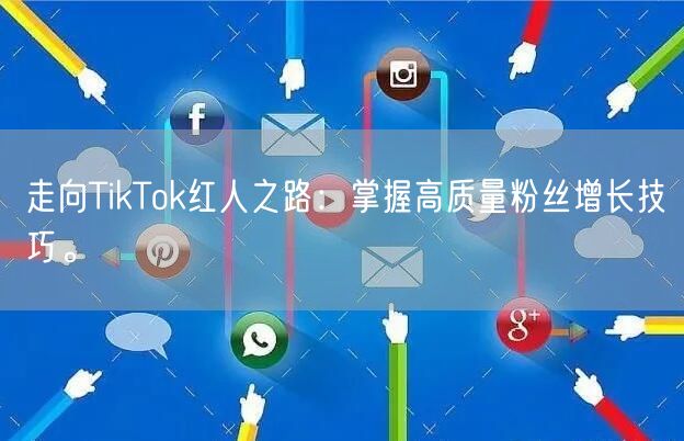 走向TikTok红人之路：掌握高质量粉丝增长技巧。