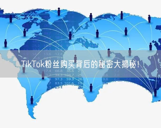 TikTok粉丝购买背后的秘密大揭秘！