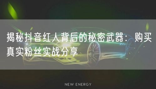 揭秘抖音红人背后的秘密武器：购买真实粉丝实战分享