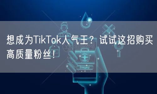 想成为TikTok人气王？试试这招购买高质量粉丝！