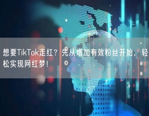 想要TikTok走红？先从增加有效粉丝开始，轻松实现网红梦！