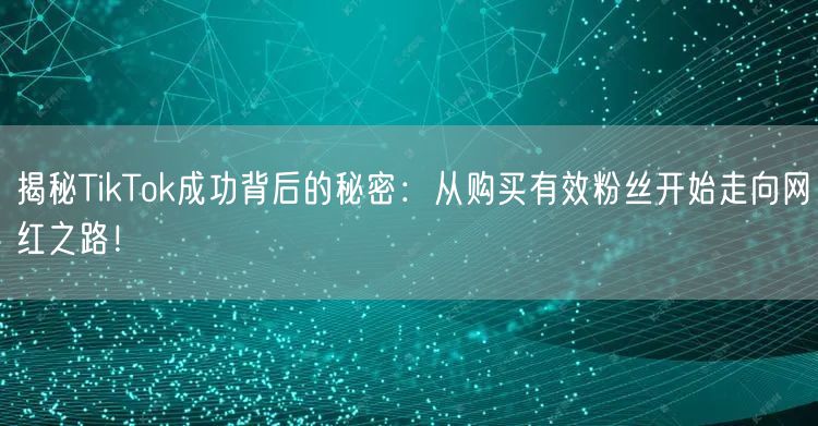 揭秘TikTok成功背后的秘密：从购买有效粉丝开始走向网红之路！