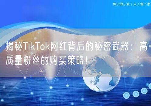 揭秘TikTok网红背后的秘密武器：高质量粉丝的购买策略！