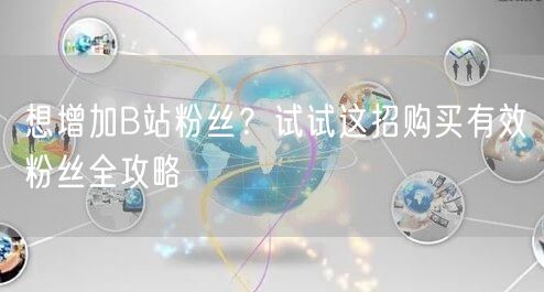 想增加B站粉丝？试试这招购买有效粉丝全攻略