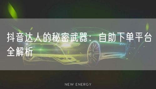 抖音达人的秘密武器：自助下单平台全解析