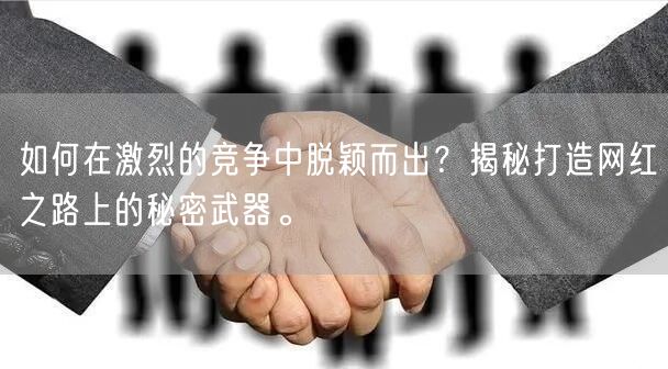 如何在激烈的竞争中脱颖而出？揭秘打造网红之路上的秘密武器。