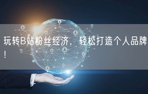 玩转B站粉丝经济，轻松打造个人品牌！