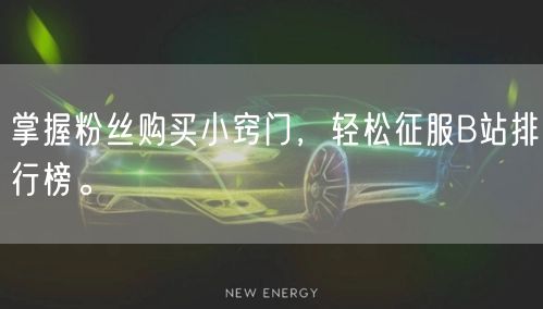 掌握粉丝购买小窍门，轻松征服B站排行榜。