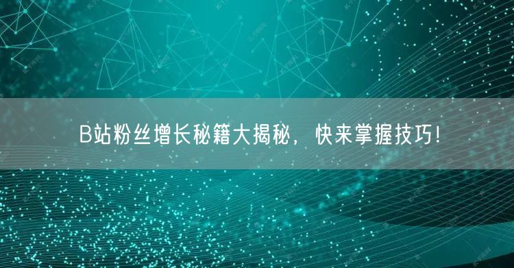 B站粉丝增长秘籍大揭秘，快来掌握技巧！