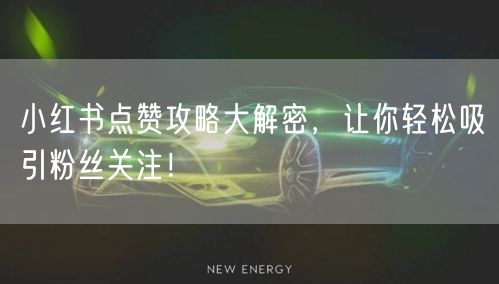 小红书点赞攻略大解密，让你轻松吸引粉丝关注！