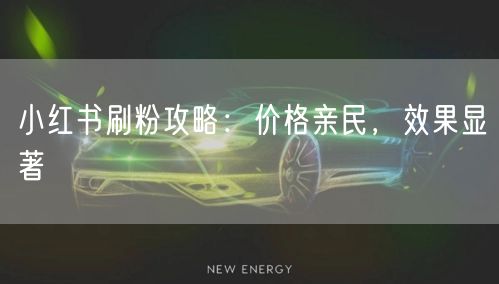 小红书刷粉攻略：价格亲民，效果显著