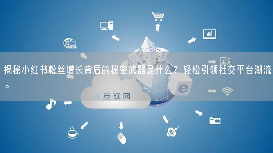 揭秘小红书粉丝增长背后的秘密武器是什么？轻松引领社交平台潮流。