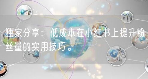 独家分享：低成本在小红书上提升粉丝量的实用技巧。