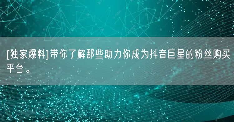 [独家爆料]带你了解那些助力你成为抖音巨星的粉丝购买平台。
