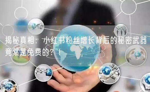 揭秘真相：小红书粉丝增长背后的秘密武器竟然是免费的？！