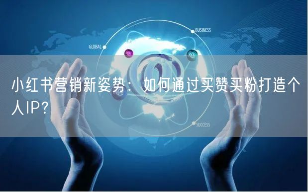 小红书营销新姿势：如何通过买赞买粉打造个人IP？