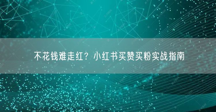 不花钱难走红？小红书买赞买粉实战指南