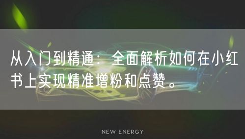 从入门到精通：全面解析如何在小红书上实现精准增粉和点赞。