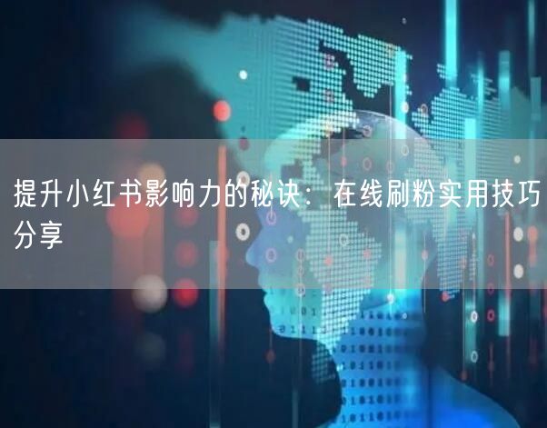 提升小红书影响力的秘诀：在线刷粉实用技巧分享