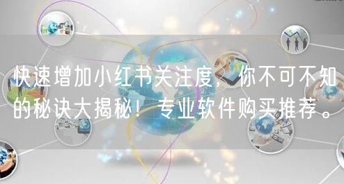 快速增加小红书关注度，你不可不知的秘诀大揭秘！专业软件购买推荐。