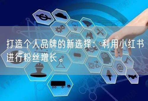 打造个人品牌的新选择：利用小红书进行粉丝增长。